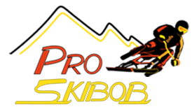 Pro Skibob
